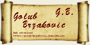 Golub Brzaković vizit kartica
